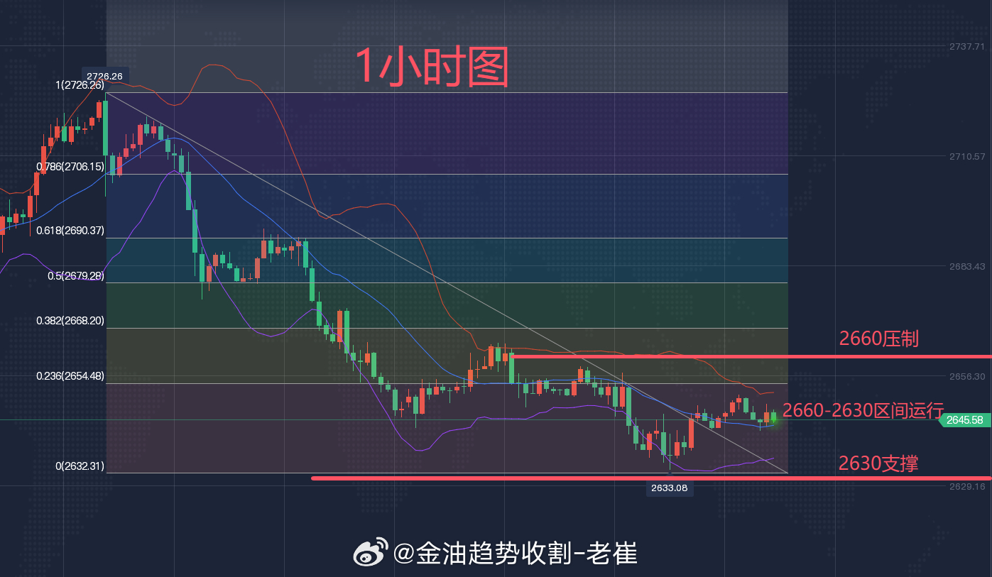 黄金走势最新分析，新视角观察趋势变化